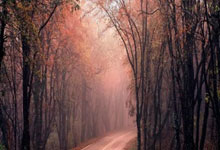 [天下足球]豪门恩怨：皇家马德里VS马德里竞技.