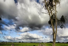 33岁德布劳内未来未定,仍坚持踢球但去向未知.