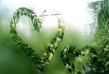 问鼎娱乐官网:耶雷米-皮诺:佩德里现在已经达到了大卫-席尔瓦的水平.