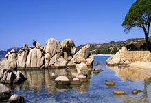 🏀CBA战报:萨姆纳33+13+9准三双,四川117-107力克宁波.